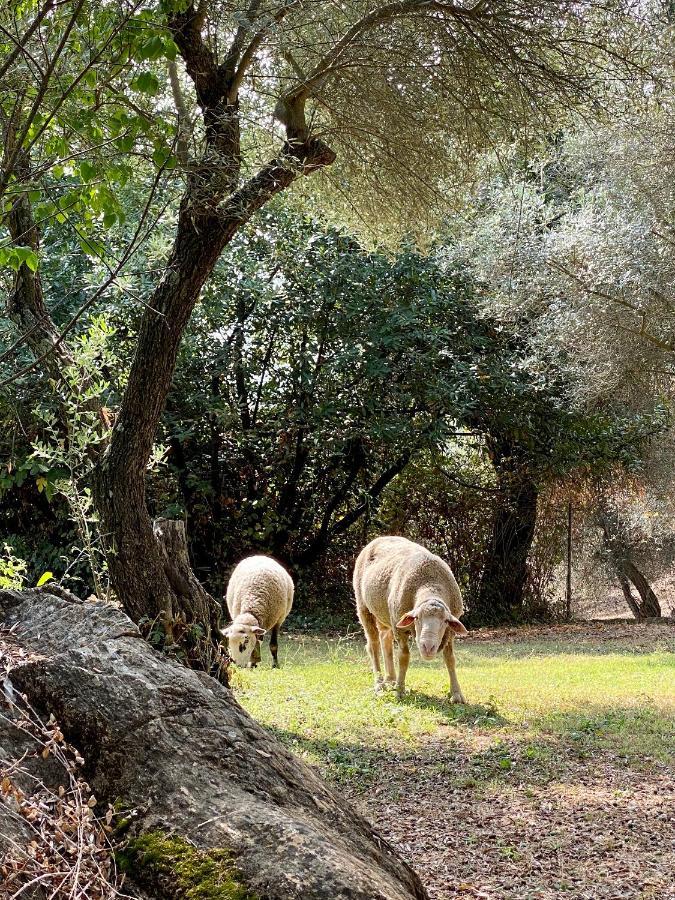 شقة El Molino De La Quinta كونستانتينا المظهر الخارجي الصورة