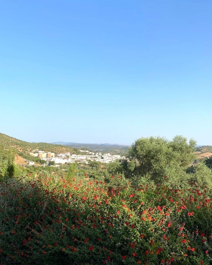 شقة El Molino De La Quinta كونستانتينا المظهر الخارجي الصورة