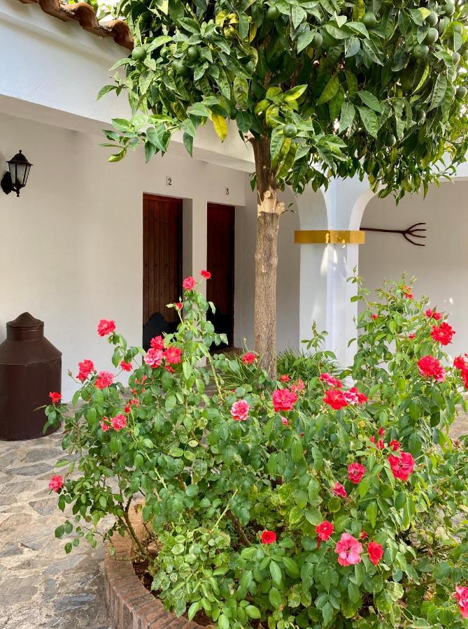 شقة El Molino De La Quinta كونستانتينا المظهر الخارجي الصورة