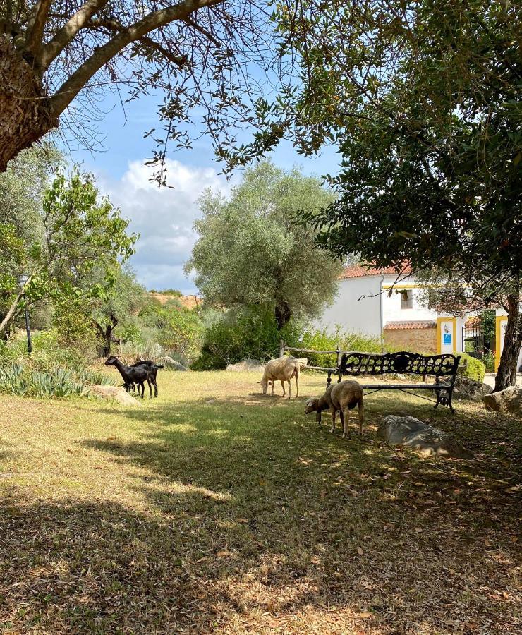شقة El Molino De La Quinta كونستانتينا المظهر الخارجي الصورة